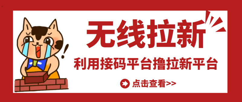 （3070期）【高端精品】最新接码无限拉新项目，利用接码平台赚拉新平台差价，日赚500+-副业宝典