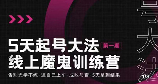 （3121期）五天起号魔鬼训练营，告别光学不练，逼自己上车，成败与否，5天拿到结果-副业宝典
