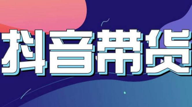（3133期）抖音直播带货入门必学教程，教快速上手抖音直播带货（13节课）-副业宝典