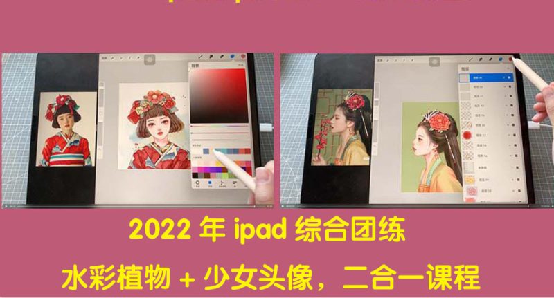 （4002期）2022年ipad综合团练水彩植物+少女头像，二合一课程（40节课）-副业宝典
