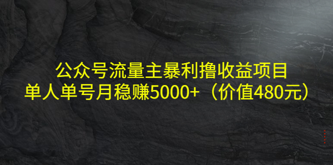 （4011期）公众号流量主暴利撸收益项目，单人单号月稳赚5000+（价值480元）-副业宝典
