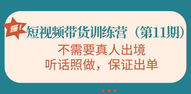 （4015期）短视频带货训练营（第11期），不需要真人出境，听话照做，保证出单-副业宝典