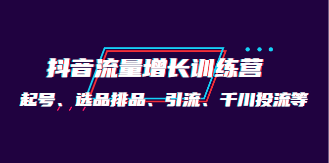 （4022期）月销1.6亿实操团队·抖音流量增长训练营：起号、选品排品、引流 千川投流等-副业宝典