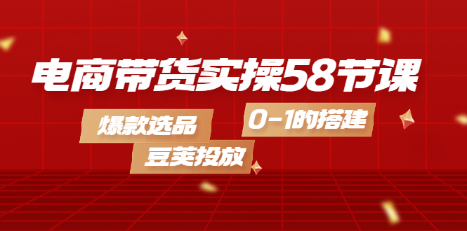 （4024期）电商带货实操58节课，爆款选品，豆荚投放，0-1的搭建-副业宝典