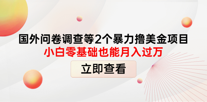 （4062期）国外问卷调查等2个暴力撸美金项目，小白零基础也能月入过万-副业宝典