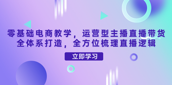 （4095期）零基础电商教学，运营型主播直播带货全体系打造，全方位梳理直播逻辑-副业宝典