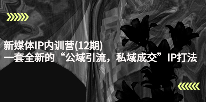 （4103期）新媒体IP内训营(12期)，一套全新的“公域引流，私域成交”IP打法，直接带走-副业宝典