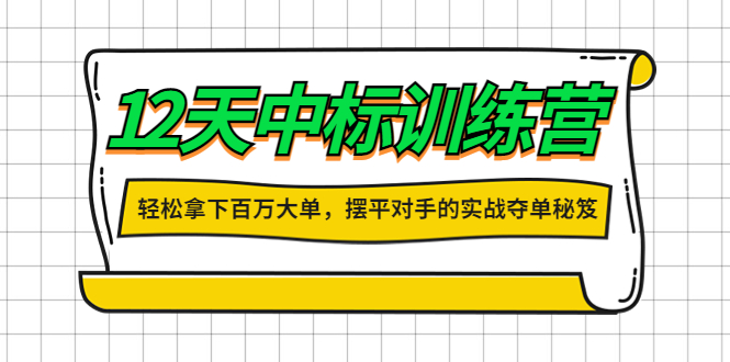 （4116期）12天中标训练营：轻松拿下百万大单，摆平对手的实战夺单秘笈！-副业宝典