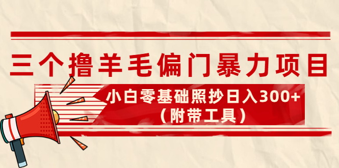（4110期）外面卖998的三个撸羊毛偏门暴力项目，小白零基础照抄日入300+（附带工具）-副业宝典