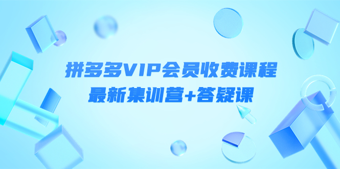 （4127期）某社群·拼多多VIP会员收费课程，最新集训营+答疑课-价值3299元-副业宝典