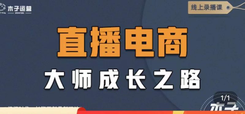 （4200期）直播电商高手成长之路：教你成为直播电商大师，玩转四大板块（25节）-副业宝典