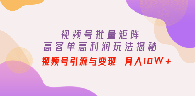 （4193期）视频号批量矩阵的高客单高利润玩法揭秘： 视频号引流与变现 月入10W+-副业宝典