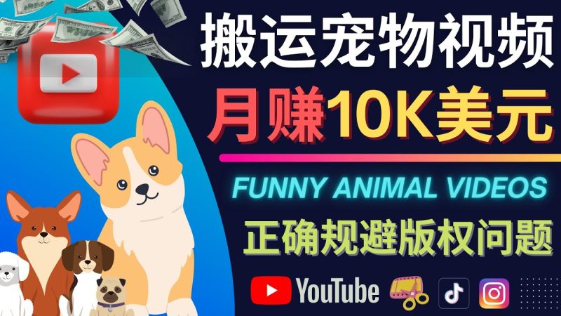 （4221期）搬运TIKTOK视频到YouTube，并进行二次创作，月赚1万美元以上-副业宝典