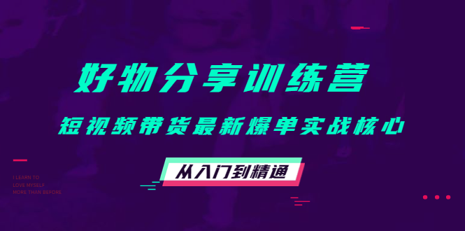 （4307期）好物分享训练营：短视频带货最新爆单实战核心，从入门到精通！-副业宝典