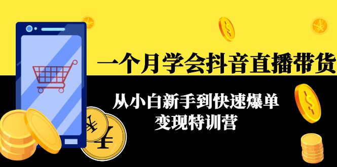 （4299期）一个月学会抖音直播带货：从小白新手到快速爆单变现特训营(63节课)-副业宝典