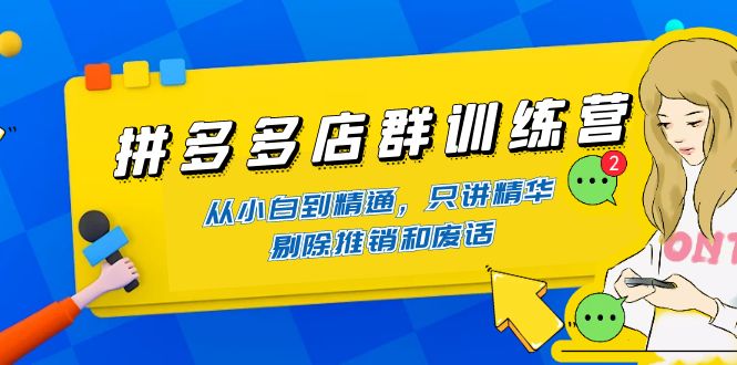 （4318期）拼多多店群训练营：从小白到精通，只讲精华，剔除推销和废话-副业宝典