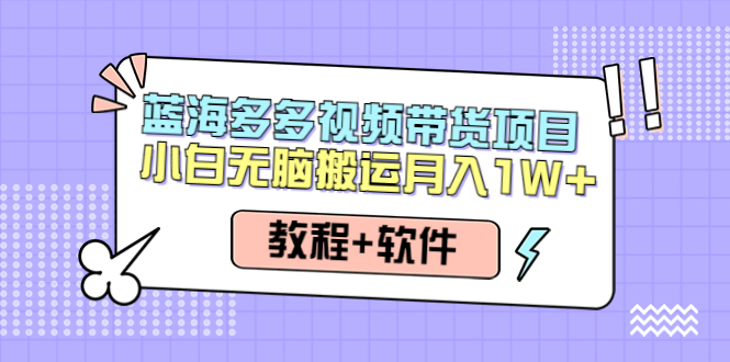 （4343期）人人都能操作的蓝海多多视频带货项目 小白无脑搬运月入10000+（教程+软件）-副业宝典