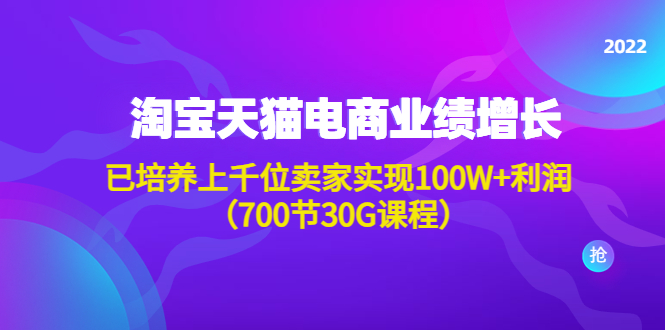 （4409期）淘系天猫电商业绩增长：已培养上千位卖家实现100W+利润（700节30G课程）-副业宝典