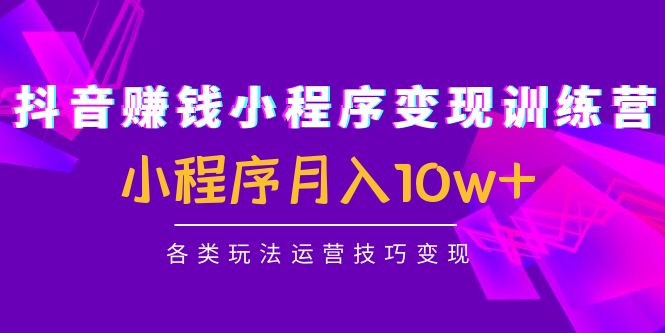 （4511期）抖音赚钱小程序变现训练营：小程序月入10w+各类玩法运营技巧变现-副业宝典