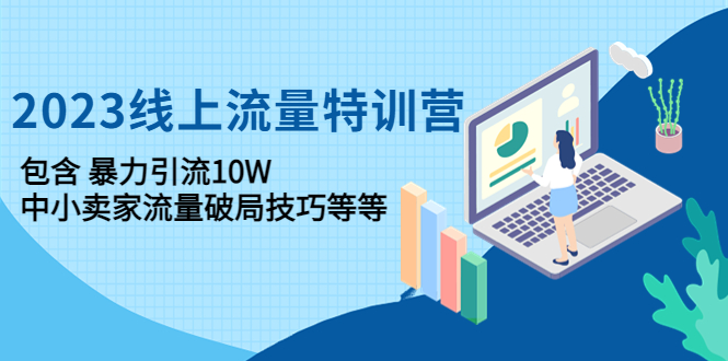 （4567期）2023线上流量特训营：包含暴力引流10W+中小卖家流量破局技巧等等-副业宝典