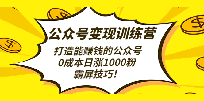 （4585期）公众号变现训练营（第3期）打造能赚钱的公众号，0成本日涨1000粉，霸屏技巧-副业宝典