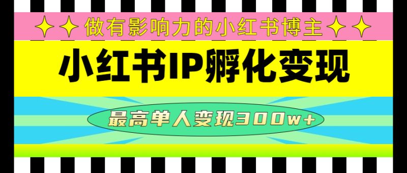 （4612期）某收费培训-小红书IP孵化变现：做有影响力的小红书博主，最高单人变现300w+-副业宝典