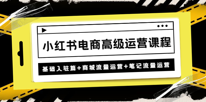 （4638期）小红书电商高级运营课程：基础入驻篇+商城流量运营+笔记流量运营-副业宝典