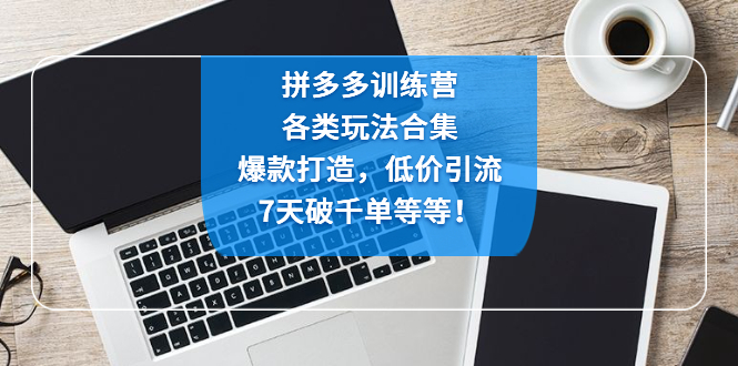 （4693期）拼多多训练营：各玩法合集，爆款打造，低价引流，7天破千单等等！-副业宝典