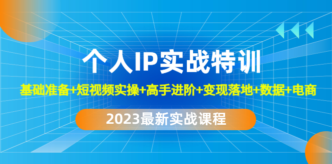 （4735期）2023个人IP实战特训：基础准备+短视频实操+高手进阶+变现落地+数据+电商-副业宝典