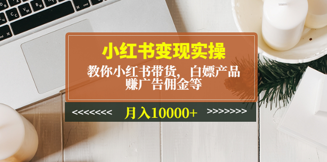 （4780期）小红书变现实操：教你小红书带货，白嫖产品，赚广告佣金等，月入10000+-副业宝典
