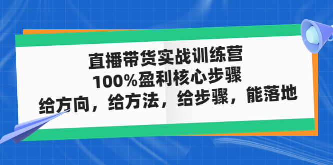 （4785期）直播带货实战训练营：100%盈利核心步骤，给方向，给方法，给步骤，能落地-副业宝典