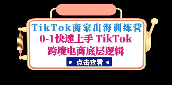 （4795期）TikTok商家出海训练营：0-1快速上手 TikTok跨境电商底层逻辑(无中创水印)-副业宝典
