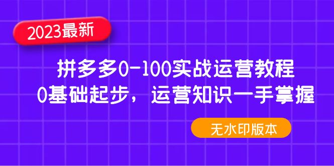 （4835期）2023拼多多0-100实战运营教程，0基础起步，运营知识一手掌握（无水印）-副业宝典