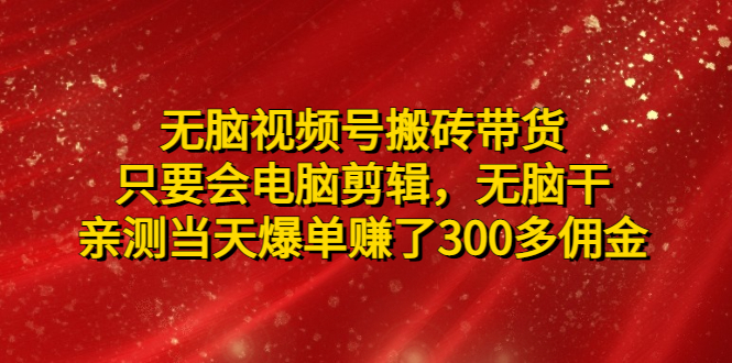 （4862期）无脑视频号搬砖带货，只要会电脑剪辑，无脑干，亲测当天爆单赚了300多佣金-副业宝典