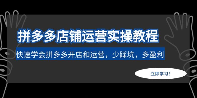 （4883期）拼多多店铺运营实操教程：快速学会拼多多开店和运营，少踩坑，多盈利-副业宝典