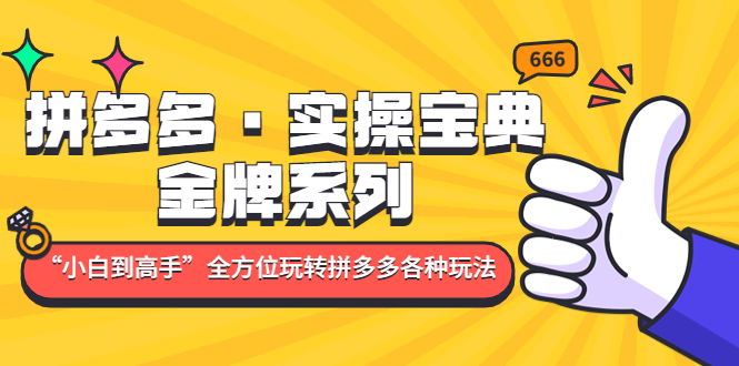 （4934期）拼多多·实操宝典：金牌系列“小白到高手”带你全方位玩转拼多多各种玩法-副业宝典