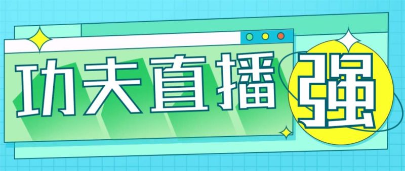 （4944期）外面收费998的功夫直播脚本，让你直播变得和呼吸一样简单(永久脚本+教程)-副业宝典