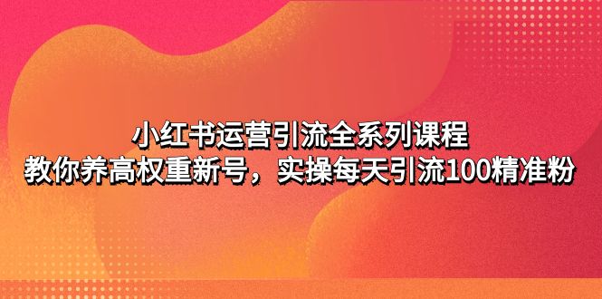 （4950期）小红书运营引流全系列课程：教你养高权重新号，实操每天引流100精准粉-副业宝典