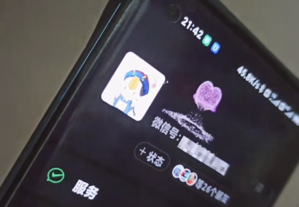 图片[2]-（4980期）微信动态昵称设置方法，可抖音直播引流，日赚上百【详细视频教程+素材】-副业宝典
