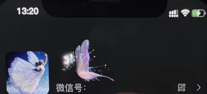 图片[3]-（4980期）微信动态昵称设置方法，可抖音直播引流，日赚上百【详细视频教程+素材】-副业宝典
