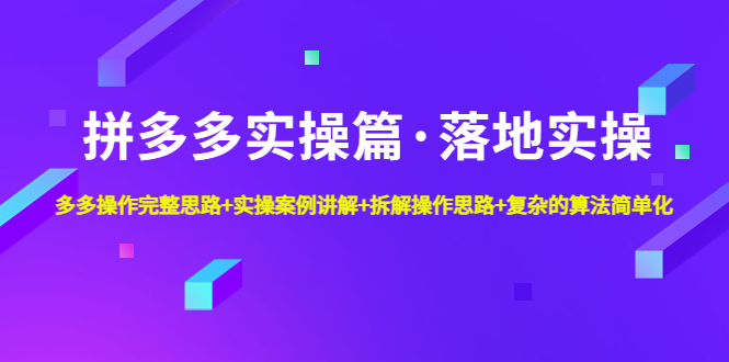 （4947期）拼多多实操篇·落地实操 完整思路+实操案例+拆解操作思路+复杂的算法简单化-副业宝典