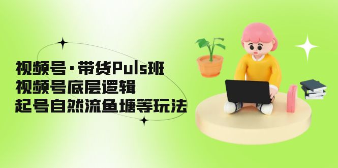 （5027期）视频号·带货Puls班，视频号底层逻辑，起号自然流鱼塘等玩法-副业宝典