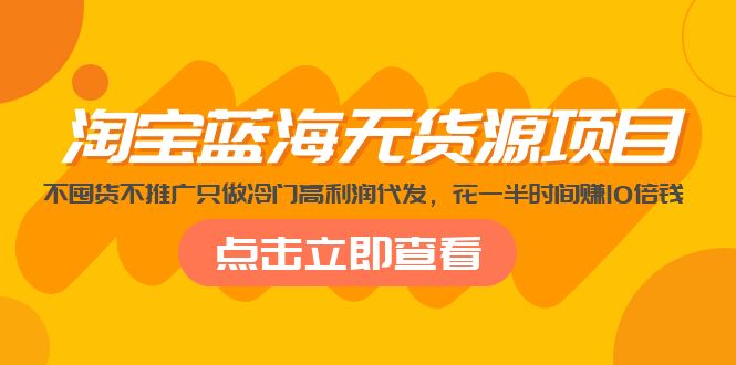 （5062期）淘宝蓝海无货源项目，不囤货不推广只做冷门高利润代发，花一半时间赚10倍钱-副业宝典