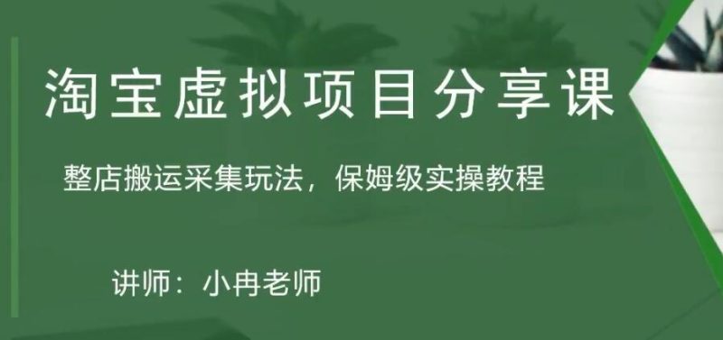 （5090期）淘宝虚拟整店搬运采集玩法分享课：整店搬运采集玩法，保姆级实操教程-副业宝典