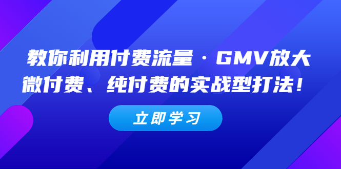（5106期）教你利用付费流量·GMV放大，微付费、纯付费的实战型打法！-副业宝典
