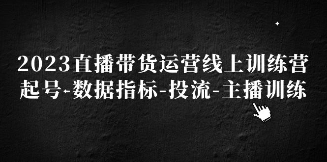 （5122期）2023直播带货运营线上训练营，起号-数据指标-投流-主播训练-副业宝典