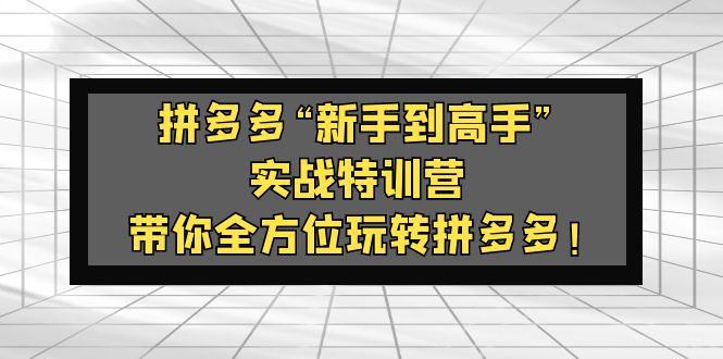 （5173期）拼多多“新手到高手”实战特训营：带你全方位玩转拼多多！-副业宝典