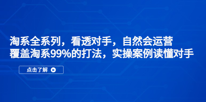 （5233期）淘系全系列，看透对手，自然会运营，覆盖淘系99%·打法，实操案例读懂对手-副业宝典