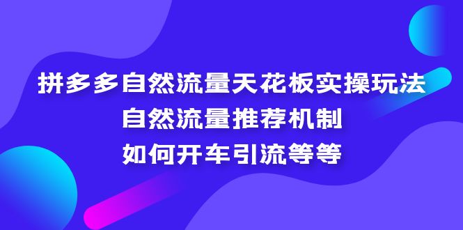 （5327期）拼多多自然流量天花板实操玩法：自然流量推荐机制，如何开车引流等等-副业宝典