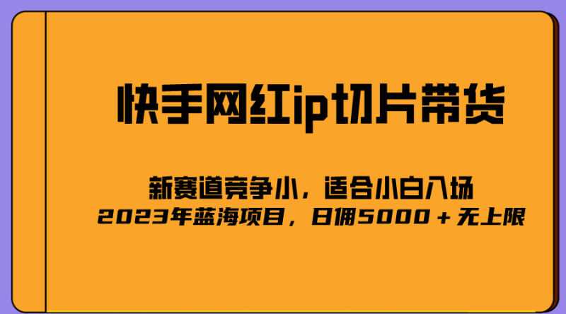 （5346期）2023爆火的快手网红IP切片，号称日佣5000＋的蓝海项目，二驴的独家授权-副业宝典